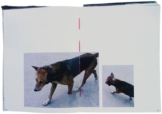 Book spread: a stray dog across the gutter and a second dog